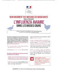influenza-aviaire