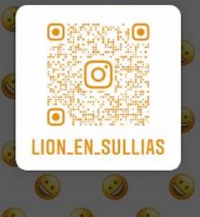 Suivez Lion-en-Sullias sur Instagram