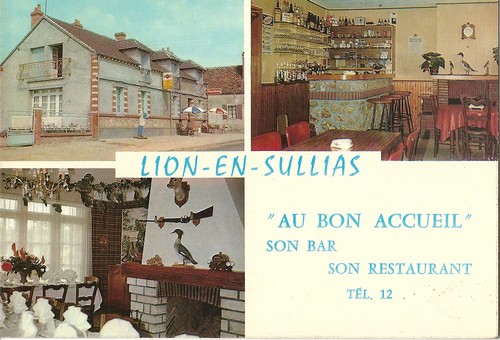 cartes-postales-lion-ar0005